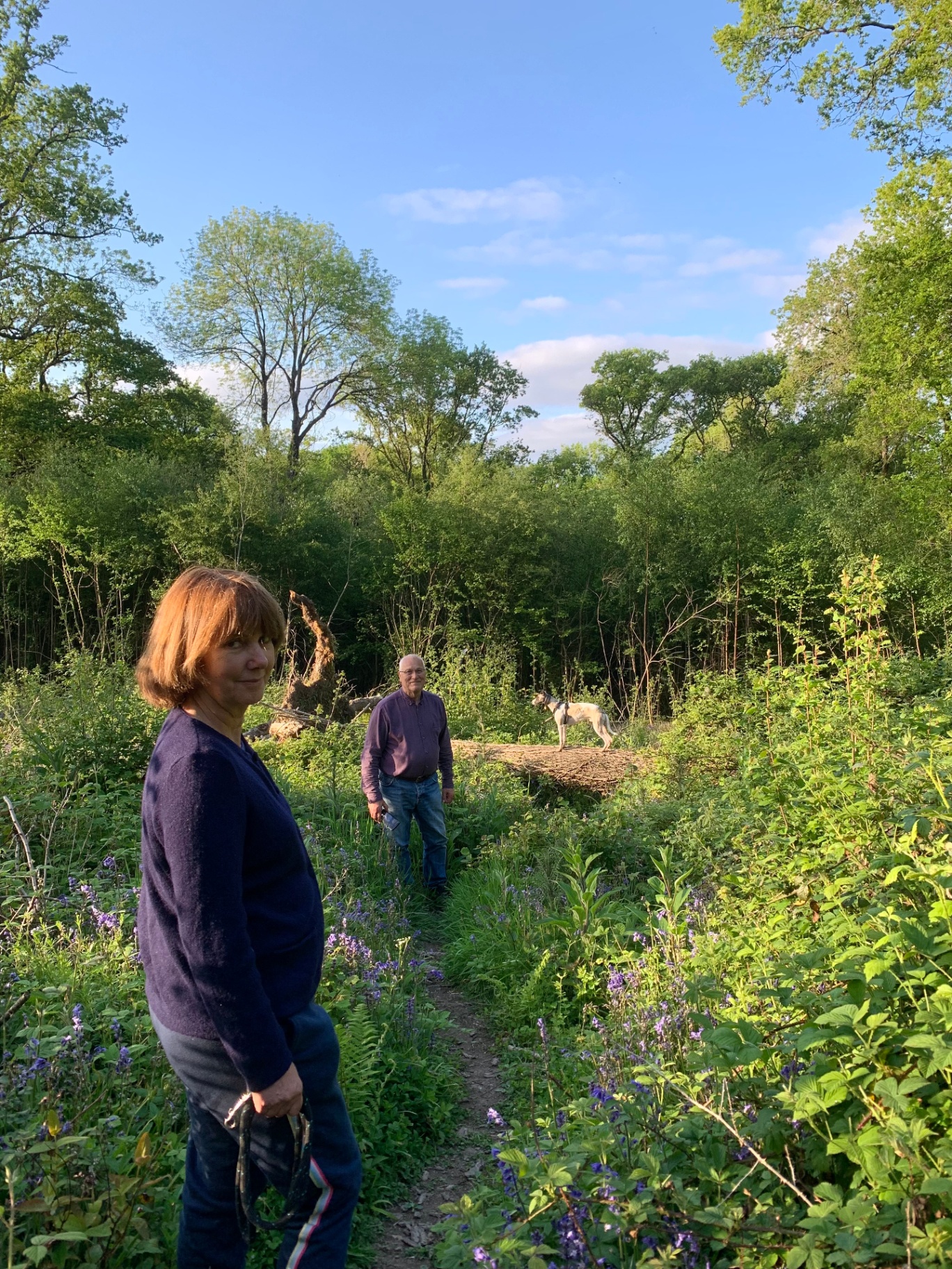 Portrait of Sue, garden consultant